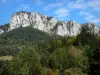 Landschappen van de Dauphiné - Regionale Natuurpark van de Chartreuse (Chartreuse Bergen): klippen (kliffen) met uitzicht op het bos