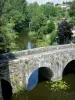 Landschappen van de Deux-Sèvres - Thouet Valley - Parthenay: St. Jacques brug over de rivier de Thouet