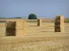 Landschappen van de Deux-Sèvres - Strobalen in een veld