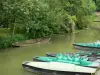 Landschappen van de Deux-Sèvres - Marais Poitevin - Groen Venetië: pier voor een boottocht in de natte moeras, om Arçais