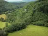 Landschappen van de Doubs - Meadows omgeven door bomen en beboste heuvels