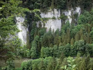 Landschappen van de Doubs - Gorges van de Doubs: kliffen (rotsen), bomen en de rivier de Doubs