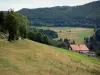 Landschappen van de Doubs - Boerderij, weiden, velden, bomen en bos