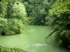 Landschappen van de Doubs - De met bomen omzoomde rivier de Loue