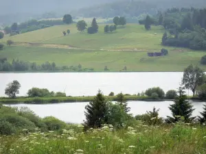 Landschappen van de Doubs - Lake Remoray (National Nature Reserve), wilde bloemen, bomen en weiden