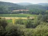 Landschappen van Gard - Côtes du Rhône wijngaarden omgeven door bomen