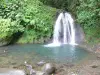 Landschappen van Guadeloupe - Nationaal Park van Guadeloupe : waterval met rivierkreeftjes in het hart van het regenwoud