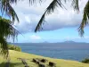 Landschappen van Guadeloupe - Uitzicht op zee en vanuit de Heilige Old Fort