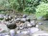 Landschappen van Guadeloupe - Guadeloupe National Park : River kronkelende door de rotsen, in het hart van het regenwoud