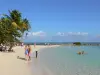 Landschappen van Guadeloupe - Caravelle Beach op het eiland Grande - Terre, in het plaatsje Sainte - Anne : zonnen op het strand en zwemmen in de turquoise lagune