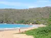 Landschappen van Guadeloupe - Pearl Beach op het eiland Basse - Terre, in de stad Deshaies : sandy blond, groene en de Caribische Zee