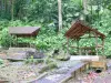 Landschappen van Guadeloupe - Nationaal Park van Guadeloupe : carbets picknick in het hart van het regenwoud van het eiland Basse - Terre