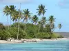 Landschappen van Guadeloupe - Plage de Bois Jolan, op het eiland Grande - Terre, in het plaatsje Sainte - Anne : kokosnoten van het strand en de turquoise lagune
