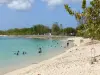 Landschappen van Guadeloupe - Blower strand op het eiland Grande - Terre, in de gemeente van Port - Louis : zwemlessen in de turquoise zee, marine begraafplaats op de achtergrond