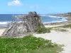 Landschappen van Guadeloupe - Damencourt surfspot op het eiland Grande - Terre, in het centrum van Le Moule