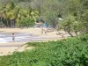 Landschappen van Guadeloupe - Pearl Beach op het eiland Basse - Terre, in de stad Deshaies zandstrand in een groene