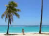 Landschappen van Guadeloupe - Feuillère strand, op het eiland Marie - Galante : kokosnoten en wit zandstrand met uitzicht op de turquoise lagune