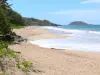 Landschappen van Guadeloupe - Clugny strand, in het centrum van Sainte - Rose, op het eiland Basse - Terre : gouden zand en de golven van de zee, met uitzicht op het eilandje Kahouanne