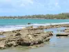 Landschappen van Guadeloupe - Rotsen in het midden van het bereik Clugny en de Caribische Zee ; in het centrum van Sainte - Rose, op het eiland Basse - Terre
