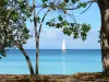 Landschappen van Guadeloupe - Eiland Marie Galante uitzicht van een zeilboot zeilen op de zee vanaf het strand van Anse Canot omzoomde
