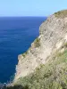 Landschappen van Guadeloupe - Klif op het eiland Grande - Terre met uitzicht op de Atlantische Oceaan