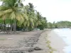 Landschappen van Guadeloupe - St. Clair strand op het eiland Basse - Terre, in de stad van Guava : grijs zandstrand omzoomd met kokospalmen