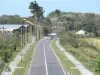 Landschappen van Guadeloupe - Route de Beauport, in de gemeente van Port Louis en het eiland Grande - Terre
