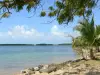 Landschappen van Guadeloupe - Sandy Babin, Vieux - Bourg, in de stad van Morne - à l' Eau en het eiland Grande - Terre, met uitzicht op het natuurreservaat van Grand Cul -de - Sac Marin