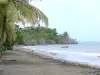 Landschappen van Guadeloupe - St. Clair strand op het eiland Basse - Terre, in de stad van Guava : grijs zandstrand omzoomd met kokospalmen en uitzicht op zee