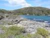 Landschappen van Guadeloupe - Wilde kust van het eiland Grande - Terre