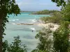 Landschappen van Guadeloupe - Groene kust van het eiland Grande - Terre met uitzicht op het turquoise water van de zee