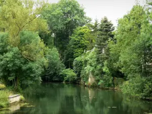 Landschappen van de Haute-Marne - Vallei van de Marne: Marne rivier omzoomd met bomen