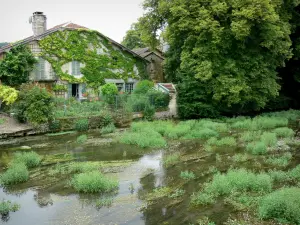 Landschappen van de Haute-Marne - Valley Blaise huis en bloementuin aan de oevers van de rivier de Blaise, Cirey-sur-Blaise