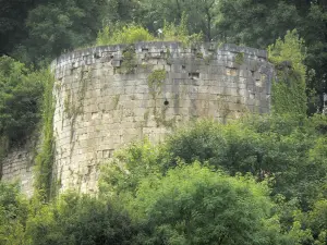 Landschappen van de Haute-Marne - The Well Tower, overblijfselen van het kasteel van Vignory, omgeven door groen