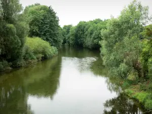 Landschappen van de Haute-Marne - Vallei van de Marne: Marne rivier omzoomd met bomen