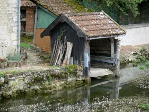 Landschappen van de Haute-Marne - Valley Blaise weinig wassen in de rivier Blaise, Cirey-sur-Blaise