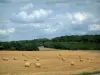 Landschappen van de Haute-Saône - Veld met balen stro, bomen en wolken in de lucht