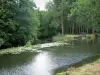 Landschappen van de Haute-Saône - Rivier met waterlelies en bomen in een bos aan de rand van het water