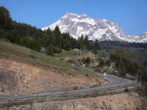 Landschappen van de Hautes-Alpes - Devoluy Massif: de weg, bezaaid met bomen en bergen sneeuw