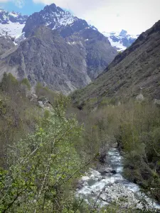 Landschappen van de Hautes-Alpes - Parc National des Ecrins (Ecrins massief): Shuttle torrent omzoomd door bomen en bergen op de Valgaudemar