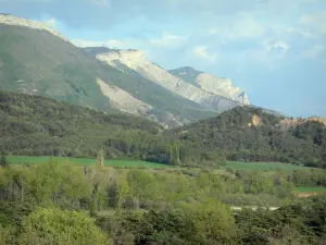 Landschappen van de Hautes-Alpes - Bergen, bossen en bomen