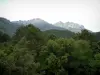 Landschappen van het Corsicaans hinterland - Bos en bergen met richels gesneden in de achtergrond