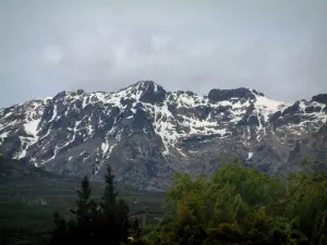 Landschappen van het Corsicaans hinterland - Bomen en besneeuwde bergtoppen