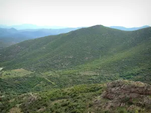 Landschappen van het Corsicaans hinterland - Heuvels bedekt met struikgewas en bomen