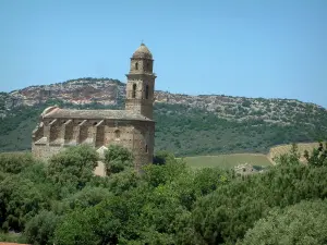Landschappen van het Corsicaans hinterland - Kerk van St. Martin de Patrimonio, bomen, wijngaarden en heuvel