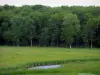 Landschappen van Indre-et-Loire - Kleine rivier loopt door een weiland bezaaid met wilde bloemen en bomen in een bos