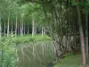 Landschappen van Indre-et-Loire - Rivier omzoomd met bomen