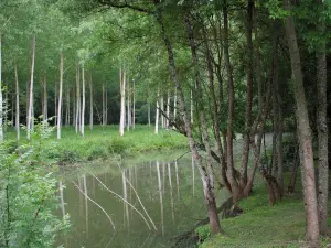 Landschappen van Indre-et-Loire - Rivier omzoomd met bomen