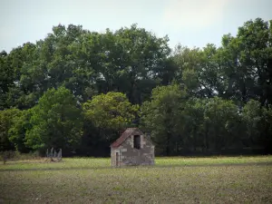 Landschappen van Indre-et-Loire - Hut en bomen