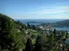 Landschappen van de kust van de Côte d'Azur - De vegetatie met uitzicht op de zee en de Cap Ferrat